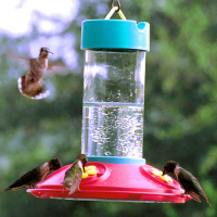 Dr. JB's Clean Hummingbird Feeders